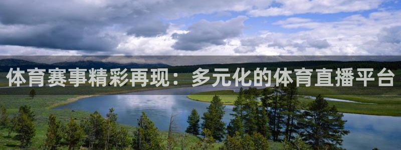 178nba在线直播：体育赛事精彩再现：多元化的体育直播平台
