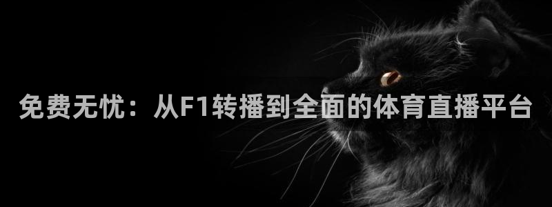 178直播在线直播篮球：免费无忧：从F1转播到全面的体育直播平台