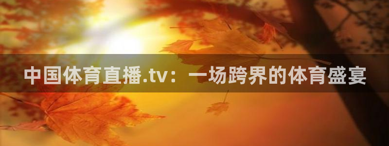178足球直播间：中国体育直播.tv：一场跨界的体育盛宴