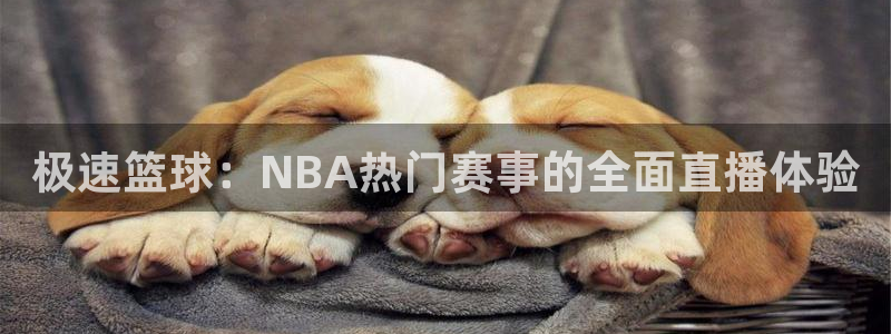 足球直播178高清直播