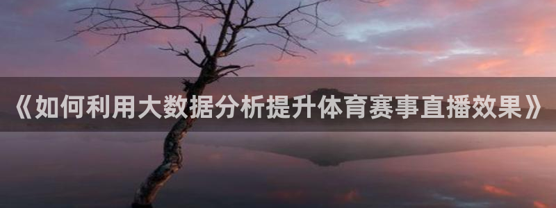 178足球直播：《如何利用大数据分析提升体育赛事直播效果》
